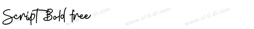Script Bold free字体转换